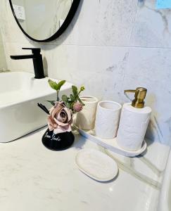 Brand New Galaxy Homes - Luxury Racecourse Stay