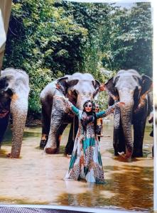 The Love Home Stay - Pinnawala
