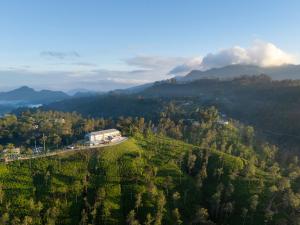 Newburgh Ella - The Tea Factory Resort