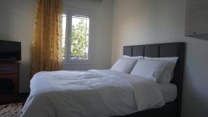 George Luxury Apartments