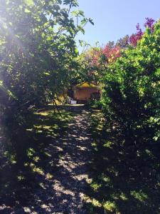 Studio à la campagne