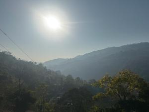 Damphu Homestay