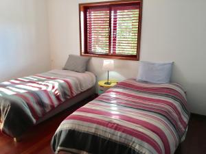 Catloc & Kitcat Alojamento Local