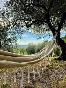 Peaceful Villa Olive Grove Sea View Pool 5 bd