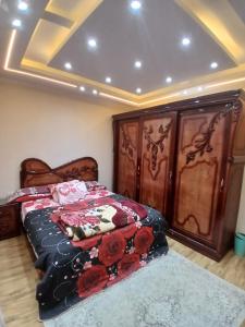 مدينة نصر ميلسا