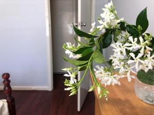 Airport Comfort Home