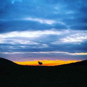 The Kites Rest at Castle Creavie Farm