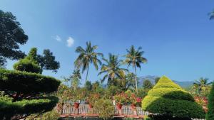 Pepper Valley Resort