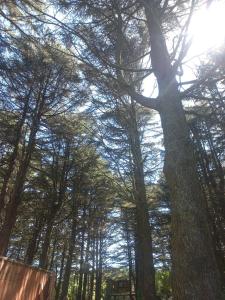 Casa container en lo mejor de Acantilados