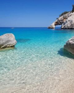 Big Central Apartment img19