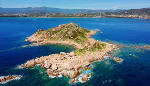 Big Central Apartment img13