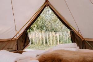 Groepsaccommodatie Glamping Boszee