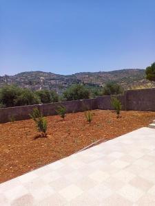 الاردن جرش سوف