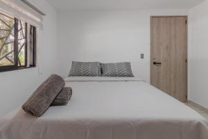 Laureles Suite 01