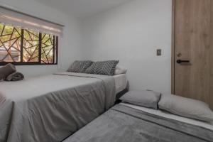 Laureles Suite 01