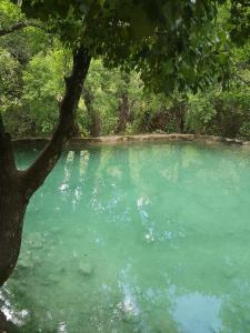 Gite en Vogue 2 ou 4 personnes