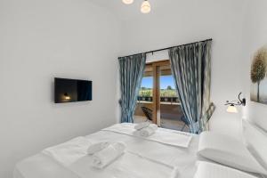 Villa San Antonio with private pool in Novigrad