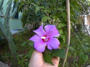 Apartment Verde img55