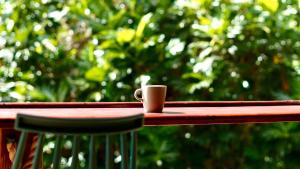 Finca Ki - Eco Farm Stay Bed & Breakfast - El Yunque Region