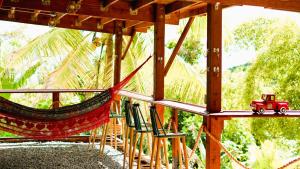 Finca Ki - Eco Farm Stay Bed & Breakfast - El Yunque Region