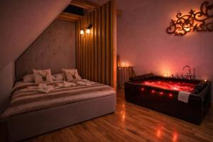 Rezydencja Skibówki