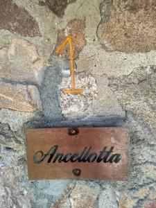 suite premium en viñedo en la montaña