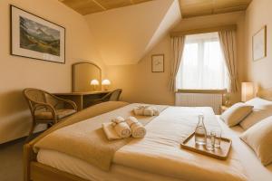 Orlík Rejvíz horská depandence Resortu Rejvíz 1