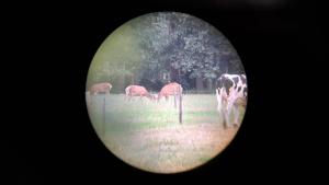 Huisje Boslust, in de natuur op een rustig park