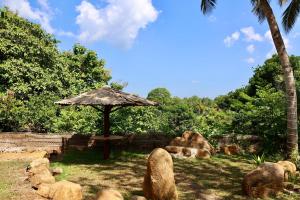 Green Heaven