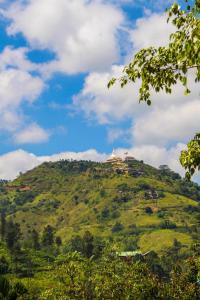 Ella Tea Mountain