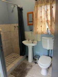 Honey solo-apartment