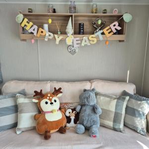 Cayton Bay Kestrel40