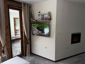 Elizi2 winter apartments Pamporovo