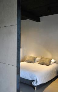 Studio with Terrace room in Groot Noordhof