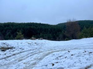 2-room Forest Retreat - Fireplace, Veranda, BBQ, Views