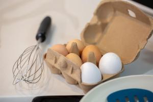 Red Barn Inn Feed Deer and play games & Firepit