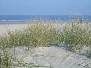 Klabautermann Maywald