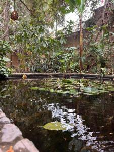 El Bungalow de Juana