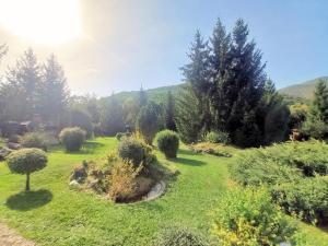 Bungalow Camping Edelweiss - Floare de colt - Gyopár