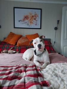 The Den - Modern cabin with wood burning stove