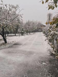 Cabană cu gradină in Iași-Bârnova