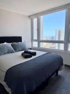 Iquique Departamento Playa Brava Nuevo Paradise