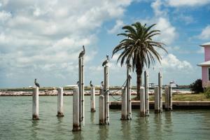 Unit 116 Executive Keys