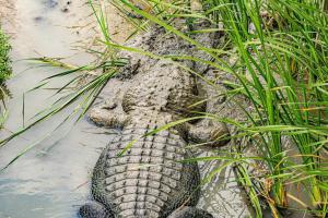 Unit 510 Executive Keys