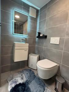 Modern Basement Apt near Phantasialand & Cologne