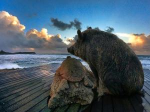 Tharros Sinis Blue Home img27