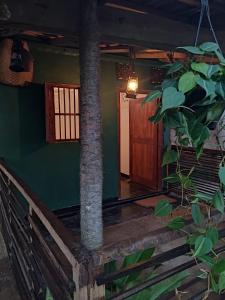 Green Cabin