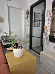 FLAT ISOLA - New Opening