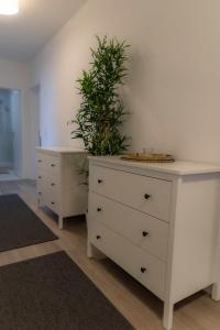 Kaiserbrunnen Gastromeile, City, Messe & Stadionnah