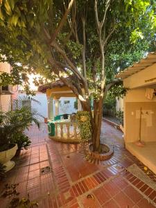 Casa para Festival Vallenato